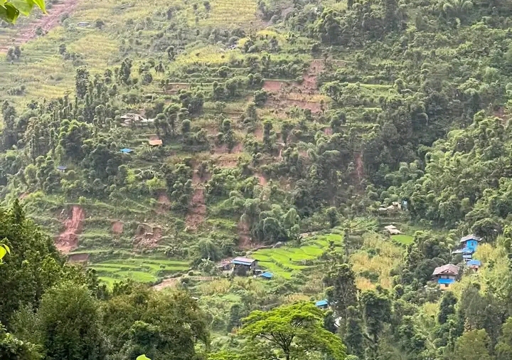 जाजरकोटमा भीषण पहिरो: दुई बेपत्ता, सात घाइते (एकको अवस्था गम्भीर)